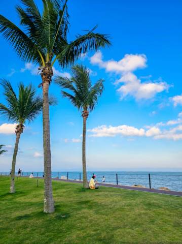 Oceanic Beauty·青麦S海景酒店(珠海拱北口岸情侣南路店)图片