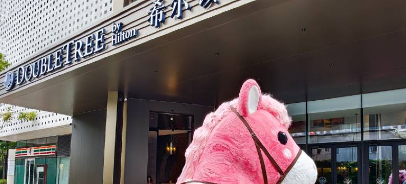 深圳湾希尔顿逸林酒店图片