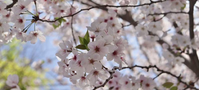 纪伊田边龟之井酒店(Kamenoi Hotel Kii-Tanabe)图片