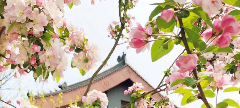 天津生态城希尔顿酒店图片