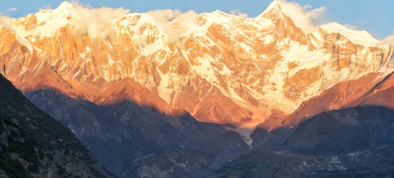 藏野(索松村店)图片