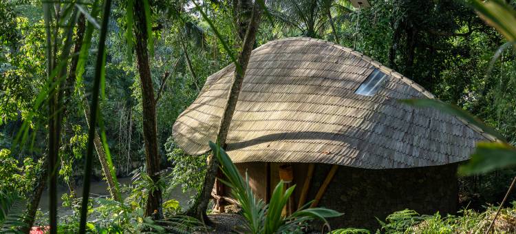 Bamboo Turtles Ecolodge图片