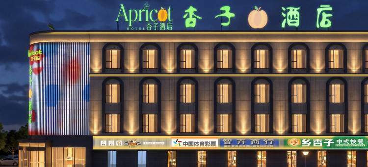 杏子酒店(巴楚博物馆店)图片