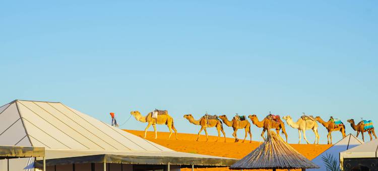 梅尔祖卡Young豪华露营地(Young Luxury Camp Merzouga)图片