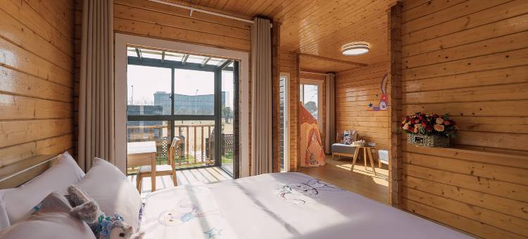 长兴新恒艺术酒店图片