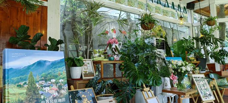 南澳柠檬墅·浅心院(彩虹观海店)图片