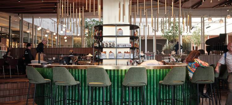 加泰罗尼亚酒店(Catalonia Barcelona Plaza)图片