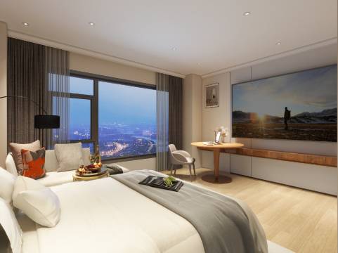 鸿安国际酒店(百色右江区高铁站店)图片