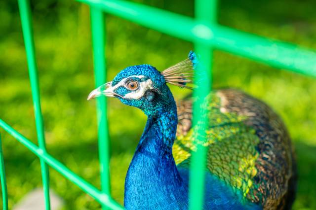 武夷山大红袍山庄(景区南入口店)图片