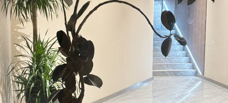 嘿π电竞酒店(洛阳宝龙城市广场龙门高铁站店)图片