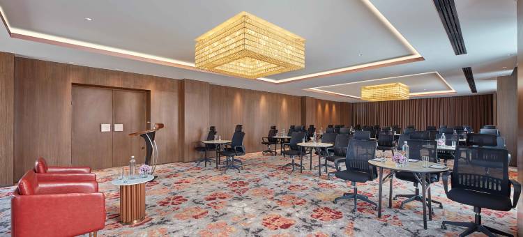 菠罗奈斯希尔顿逸林酒店(DoubleTree by Hilton Varanasi)图片