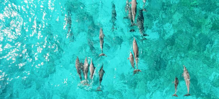 马尔代夫兰德赫利白马酒店(Cheval Blanc Randheli Maldives)图片