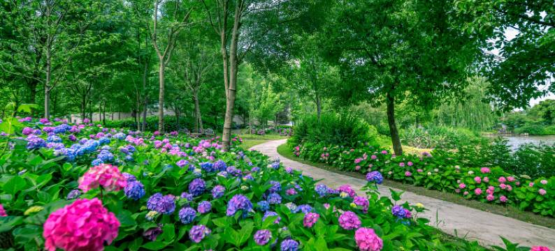 郁园乡野度假村图片