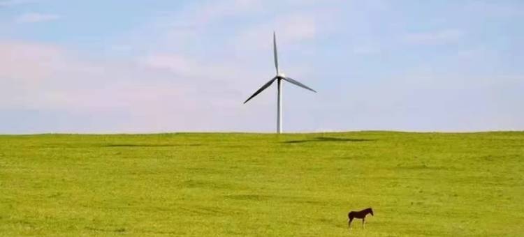 青野沐歌民宿图片