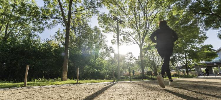 巴黎 17 区克利希 - 巴蒂尼奥勒宜必思酒店(Ibis Paris 17 Clichy-Batignolles)图片