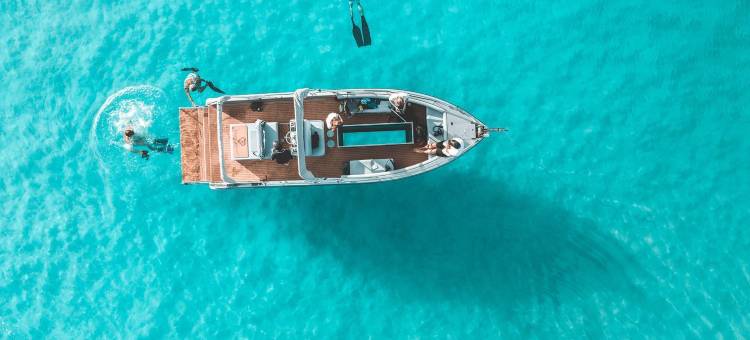 夸丽亚(Qualia)图片