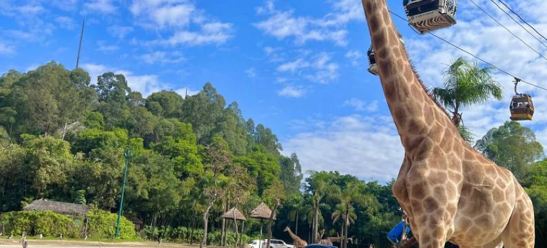 季云国际公寓(广州长隆野生动物世界店)图片