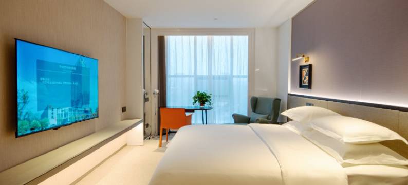 宜临国际大酒店(合肥合作化路店)图片