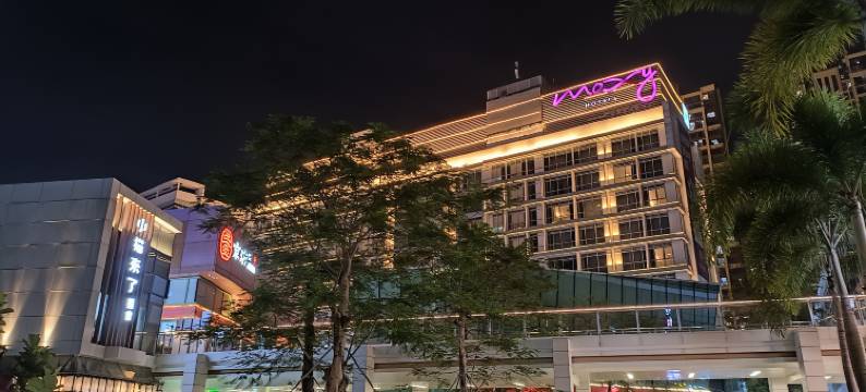 深圳北站橄榄树民宿图片