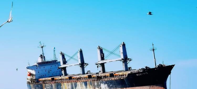 隐市拾光海景度假公寓(威海韩乐坊火车站店)图片