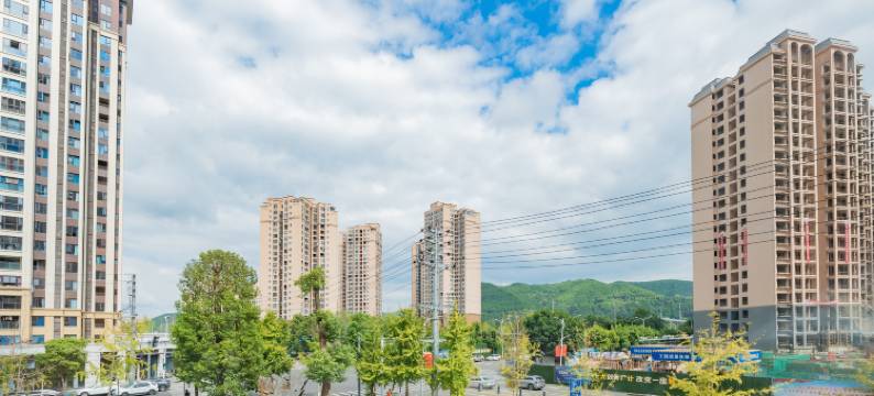 射洪松果致上酒店(郁金香店)图片