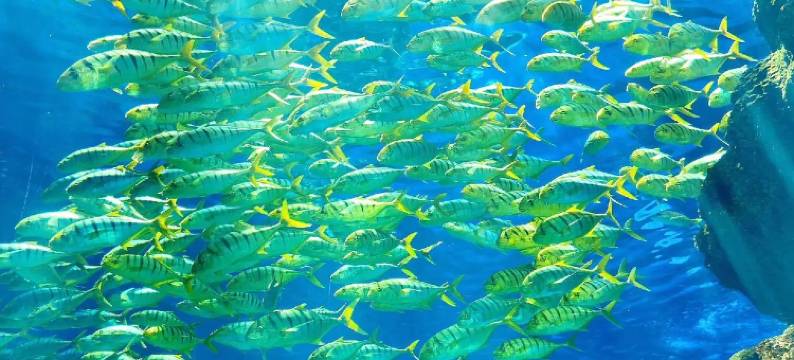 金华漫都酒店(婺城区政府万泰奥特莱斯店)图片