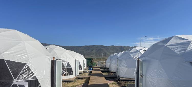 布尔津爱宿酒店(喀纳斯机场店)图片