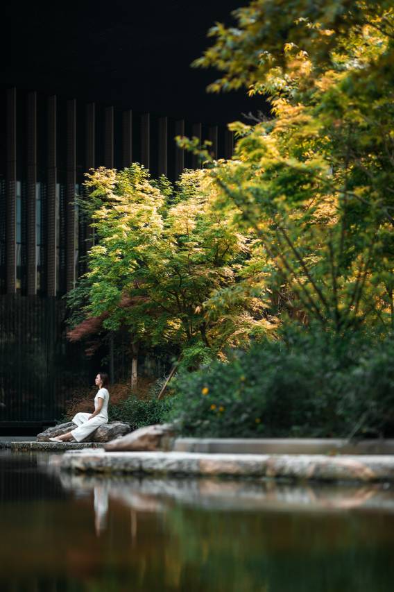 上海临港凯悦酒店图片