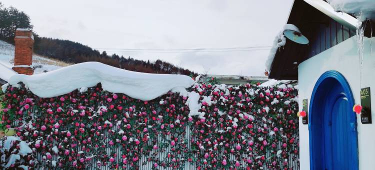 横道河子叶卡民宿图片