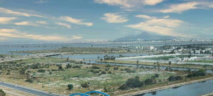 Radisson Blu Hotel & Convention Center, Tunis图片