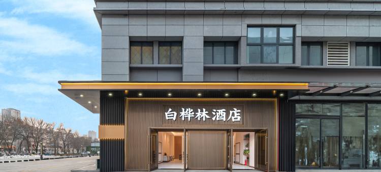 白桦林酒店(荥阳吾悦广场郑州西站店)图片