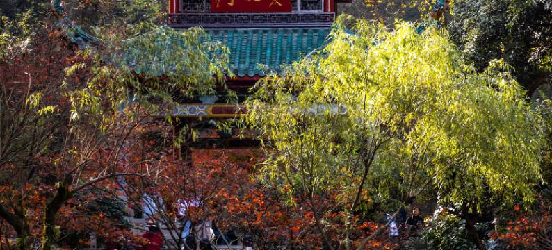 长沙五一广场国金街轻居酒店图片