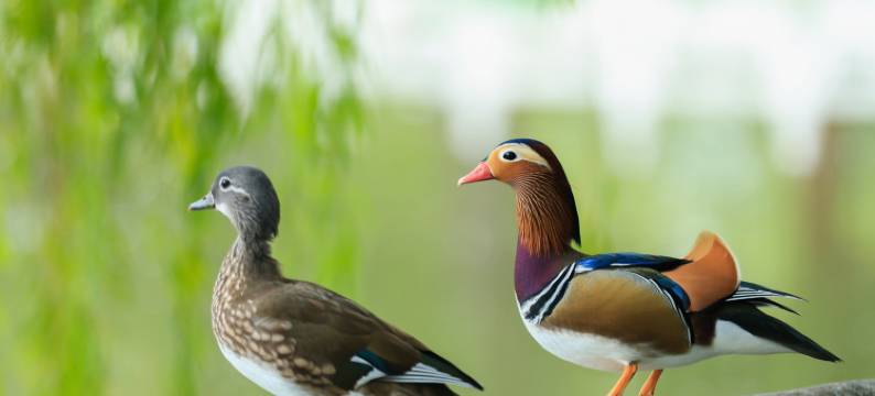 北京达园宾馆图片