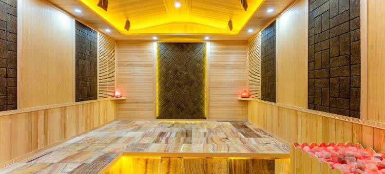 九华山温泉假日酒店图片