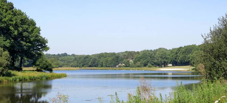 Domaine du Moulin Neuf 法国壮美山河酒店(Terres de France - le Domaine du Moulin Neuf)图片