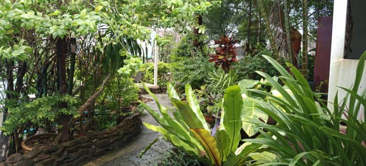 菲菲兰花度假村(Faye Orchid Resort)图片
