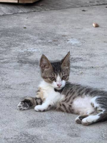 寻·故里民宿(九华山风景区游客服务中心店)图片