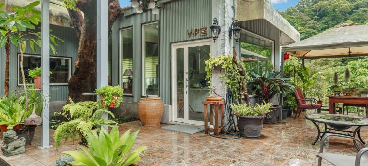 苗栗喆娟梦田图片