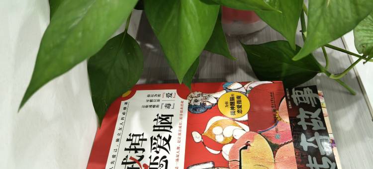 山春民宿图片