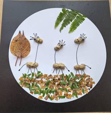 成都金堂花间苑·橘乐图片