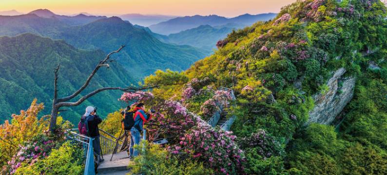光雾山米仓道酒店图片