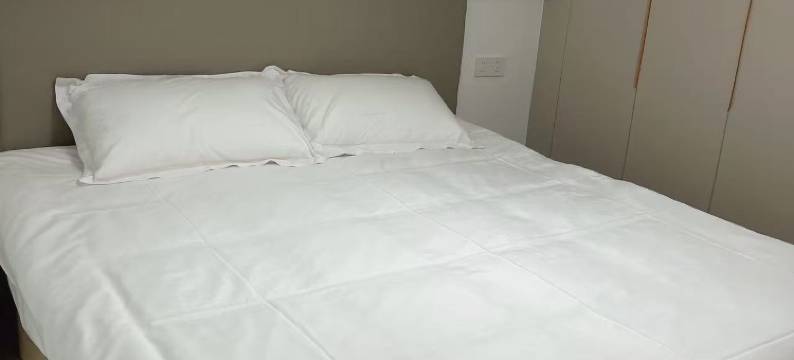 青花.loft轻奢影音公寓(青花东岸艾溪湖东地铁站店)图片