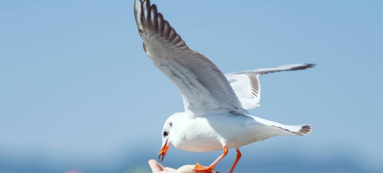 昆明中维翠湖宾馆图片