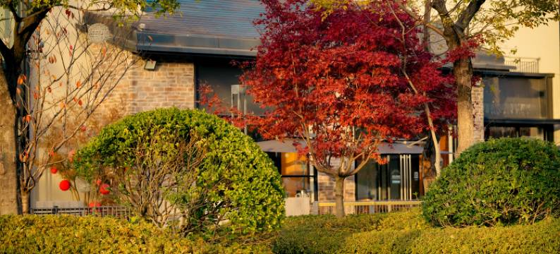 千岛湖绿发郝力克酒店图片