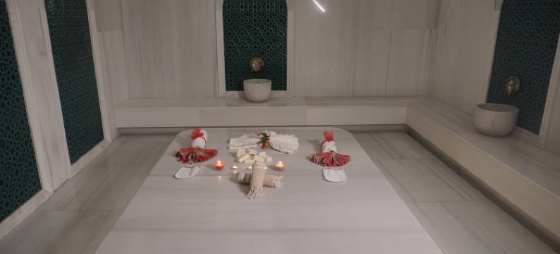 伊斯坦布尔万达文华酒店(Wanda Vista Istanbul)图片