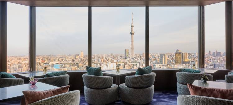 东京浅草豪景酒店(Asakusa View Hotel)图片