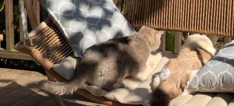 奢野·栖心谷度假山庄图片