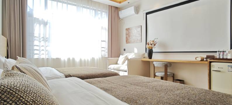 辰星小院轻奢民宿(大理古城店)图片