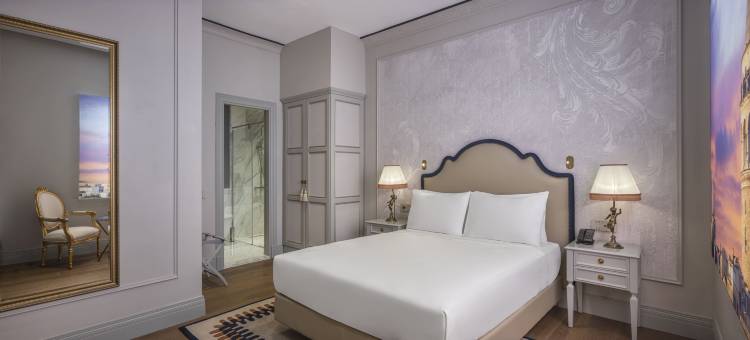 伊斯坦布尔多尼泽蒂宫殿-希尔顿傲途格精选酒店(Palazzo Donizetti Istanbul, Tapestry Collection by Hilton)图片