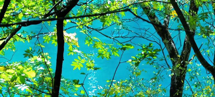 林涧·溪舍·Forest Stream·Private(九寨沟风景区店)图片